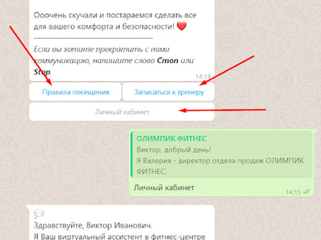 API для обмена массовыми сообщениями WhatsApp: революция в общении