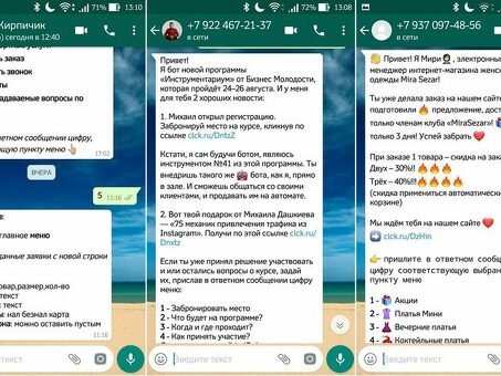 WhatsApp Broadcast: окончательное руководство по эффективной передаче сообщений