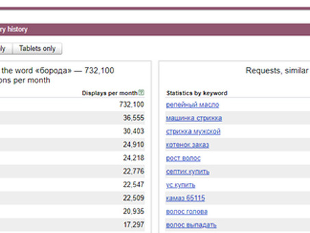 Yandex Word Stat: все, что вам нужно знать