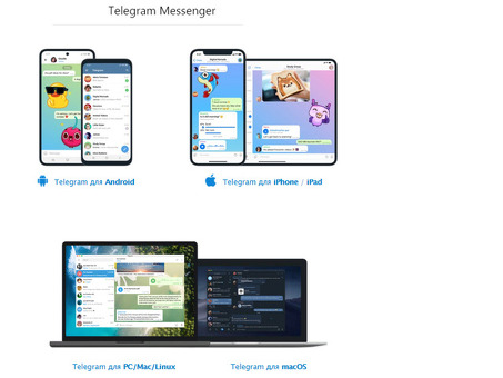 Биржа рекламы Telegram: связь бизнеса с глобальной аудиторией