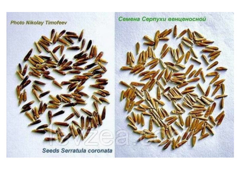Семена серпухи венценосной на 3 м2