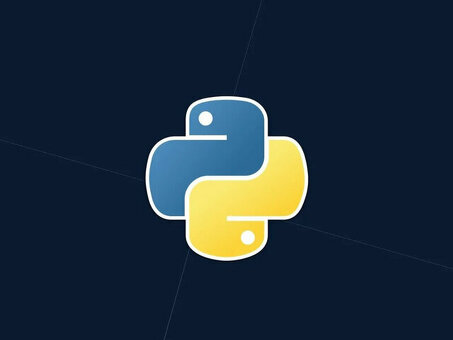 Фрилансеры Python - найм профессиональных разработчиков Python