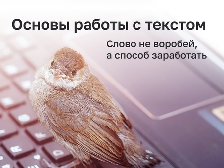 Услуги по написанию текстов для фрилансеров - наймите профессионального фрилансера для написания текстов для вас