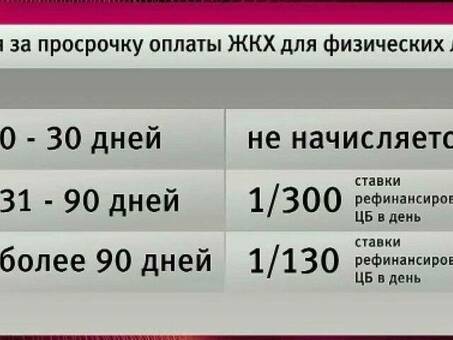 Каков размер штрафов за просрочку платежей?