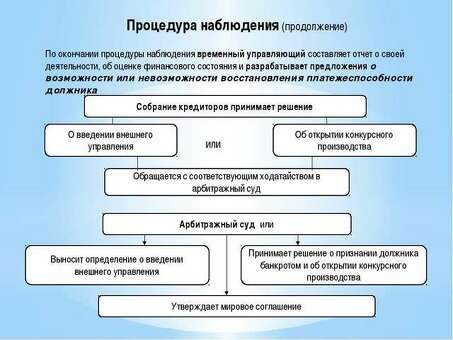 Процедура банкротства: апелляционный суд по делам о банкротстве физических лиц