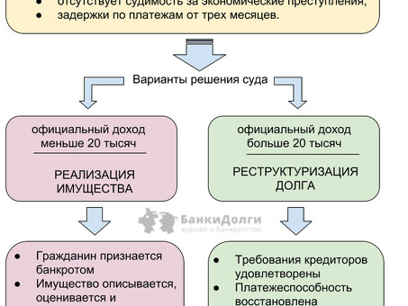 Сумма долга службы по урегулированию банкротства физических лиц в 2022 году