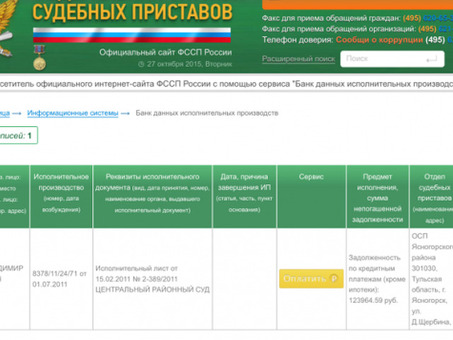 FsspRus.ru - База данных по исполнительным производствам банков