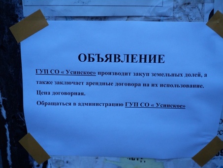 Конвертация долга в капитал: наши профессиональные услуги