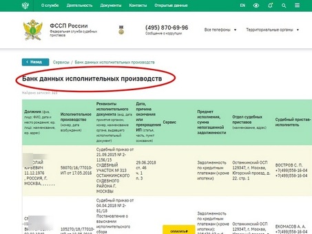 Доступ к базе данных исполнительных производств судей Федерального суда РФ