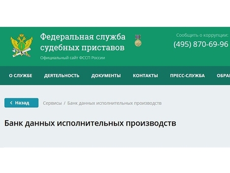 Судебные приставы по взысканию долгов - служба, специализирующаяся на возврате долгов