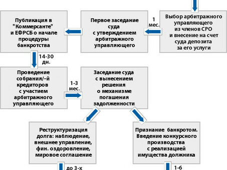 Процедура банкротства для ООО: ООО: Профессиональные услуги