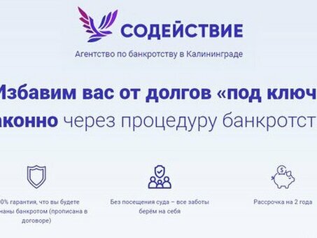 Банкротство в Калининграде | Профессиональная юридическая помощь