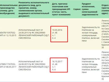 Банкротство на природе через МФЦ: быстрое и надежное решение