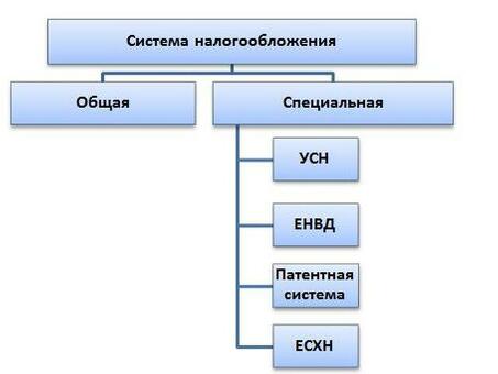 Выбор правильного налогового режима: экспертные услуги для вашего бизнеса