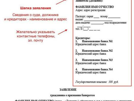 Заявление о банкротстве - Заявление о банкротстве