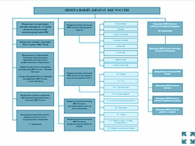 Организационная структура фнс россии схема