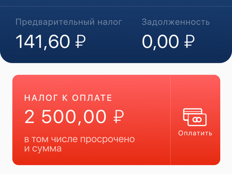 Как оплачивать налоги для индивидуальных предпринимателей с помощью приложения