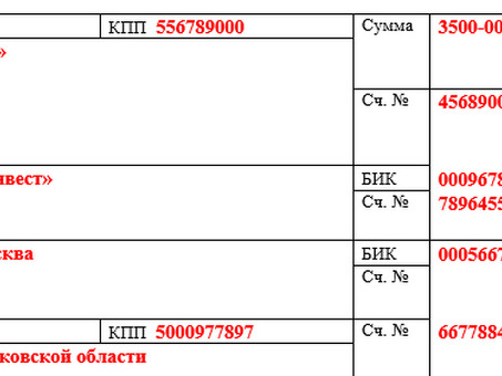 Как оформить платежное поручение: пошаговое руководство