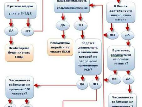 Каковы налоговые правила для ООО?