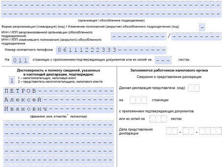 Кто может помочь Вам составить налоговую декларацию?