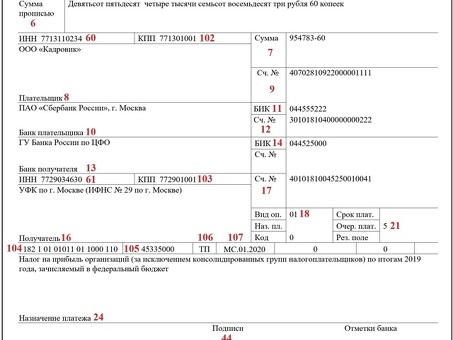 Понимание налога на прибыль: кто его платит и как он влияет на ваш бюджет