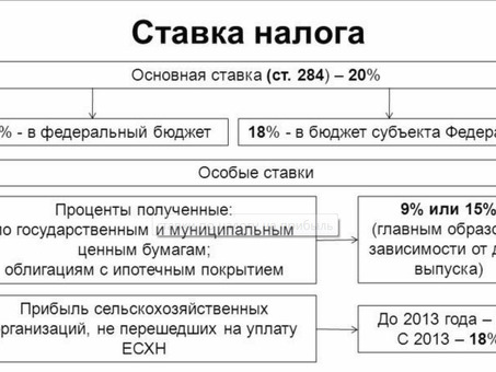 Налог на прибыль организаций: все, что нужно знать