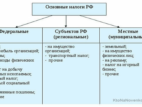 Различные виды налогов с юридических лиц: советы и рекомендации экспертов