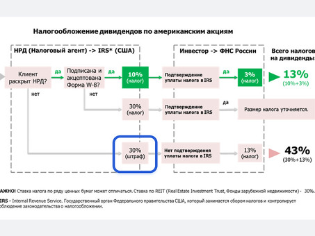 Налоговые услуги для АО: экспертная помощь по налоговым обязательствам