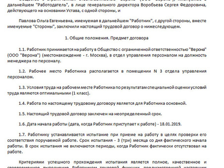 Основные трудовые договоры |Профессиональные услуги |Наименование компании