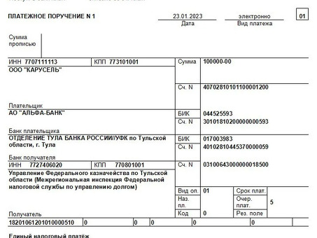 Безопасные платежные поручения для уплаты налогов - быстрый и надежный сервис