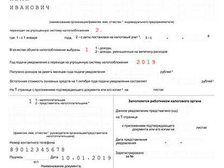 УСН для индивидуальных предпринимателей: упростите свою налоговую отчетность с помощью наших услуг