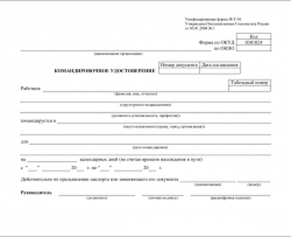 Скачать бланк командировочного удостоверения формы Т-10|Профессиональные услуги