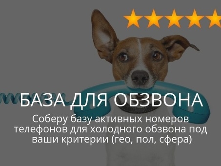 Купить онлайн Электронная база клиентов холодного обзвона на 2023 год - Москва, база компании Холодный обзвон.