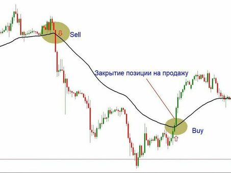 Базовые принципы электронной торговли, Базовые принципы электронной торговли, Базовые принципы электронной торговли.