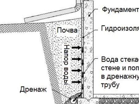 Проект 