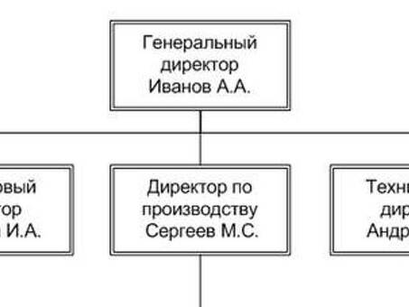 Структура организационной картины