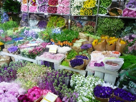 Рижский цветочный рынок: знакомство с ярким цветочным миром Латвии
