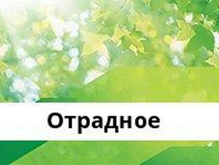 Часы работы Сбербанка в Отрадном - удобный график с учетом ваших пожеланий