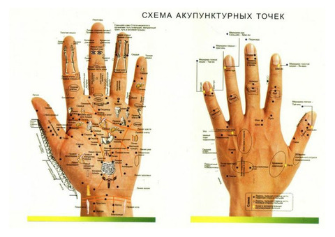 Твое здоровье в твоих руках