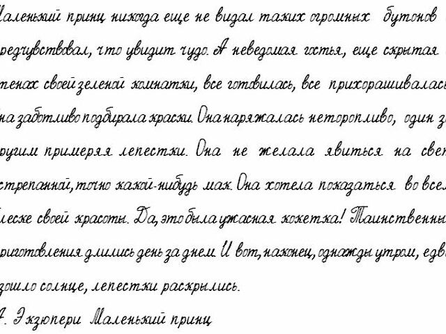 Красивый почерк копировать. Текст для почерка. Шрифты для ручного письма. Прописи разных шрифтов. Красивый письменный текст.