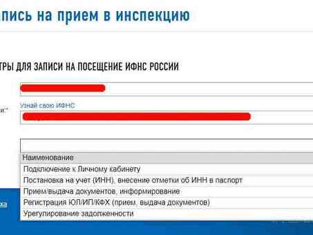 Налоговая задолженность ИП по ИНН: поиск решений по налоговым задолженностям