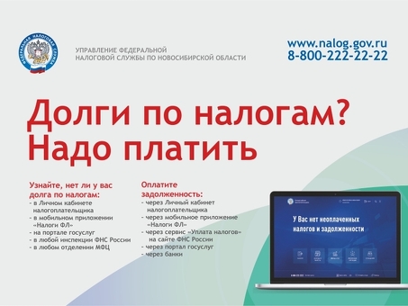 Налоговые услуги по проверке задолженности: получите помощь от налоговых органов