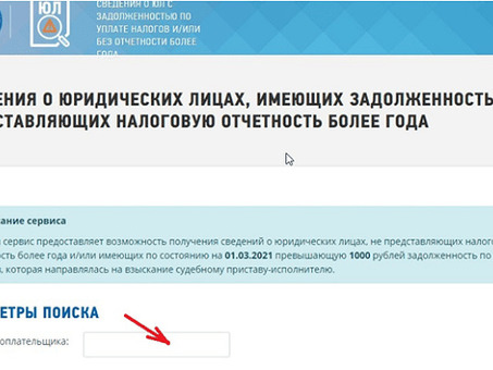 Как решить проблему налоговой задолженности с помощью номера ИНН | Профессиональная налоговая поддержка