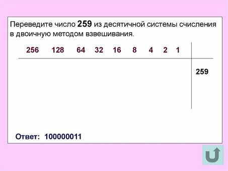 Конвертация 186 в двоичную систему | Binary Conversion Service