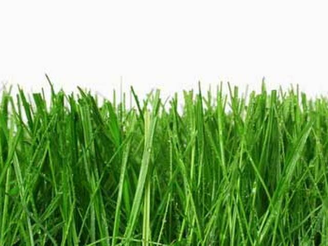 Grass перевод. Undergrass перевод. Grass перевод с английского.