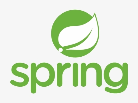 Логотип Spring Boot: высококачественные услуги графического дизайна | Название Вашей Компании