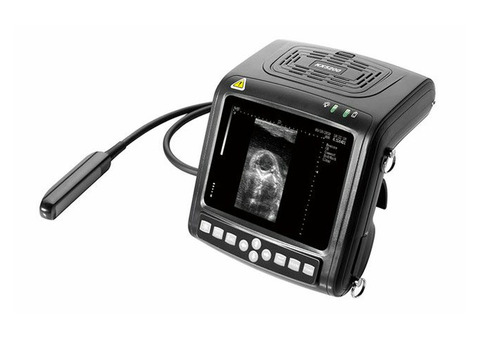 Ветеринарный УЗИ сканер KX5200