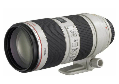 Canon ef 70-200mm f/2.8L usm