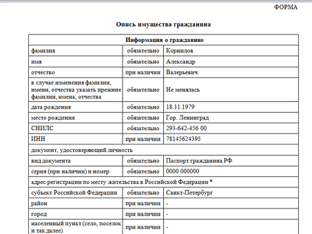 Опись имущества при банкротстве физического лица: образец и подробная инструкция