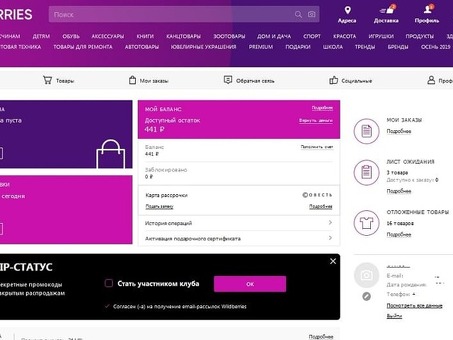 Анализатор Wild Berry Analyzer: извлечение данных о продуктах: автоматизация извлечения данных